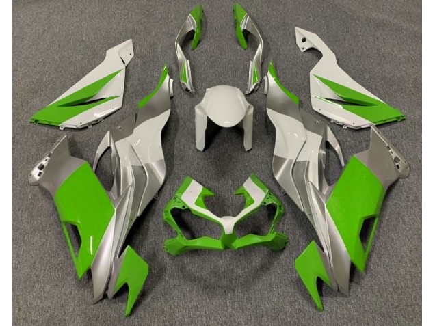Glänzend Grün Weiß & Silber 2019-2023 Kawasaki ZX6R Motorrad Verkleidung Glänzend Grün Weiß & Silber 2019-2023 Kawasaki ZX6R Motorrad Verkleidung