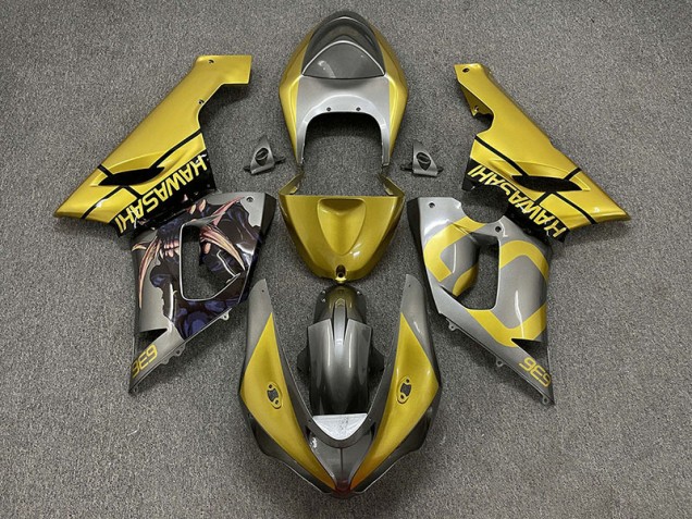 Gold & Silber 2005-2006 Kawasaki ZX6R Motorrad Verkleidung Gold & Silber 2005-2006 Kawasaki ZX6R Motorrad Verkleidung
