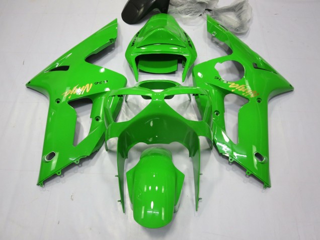 Grüner Ninja 2003-2004 Kawasaki ZX6R Motorrad Verkleidung Grüner Ninja 2003-2004 Kawasaki ZX6R Motorrad Verkleidung