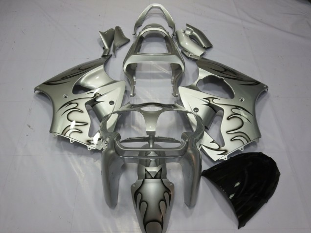 Silber Flamme 2000-2002 Kawasaki ZX6R Motorrad Verkleidung Silber Flamme 2000-2002 Kawasaki ZX6R Motorrad Verkleidung